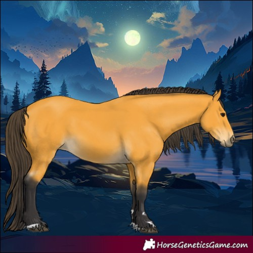 Horse Color:Buckskin 