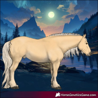 Horse Color:Palomino 