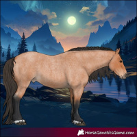 Horse Color:Bay Roan 