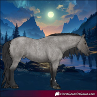 Horse Color:Grullo Roan 