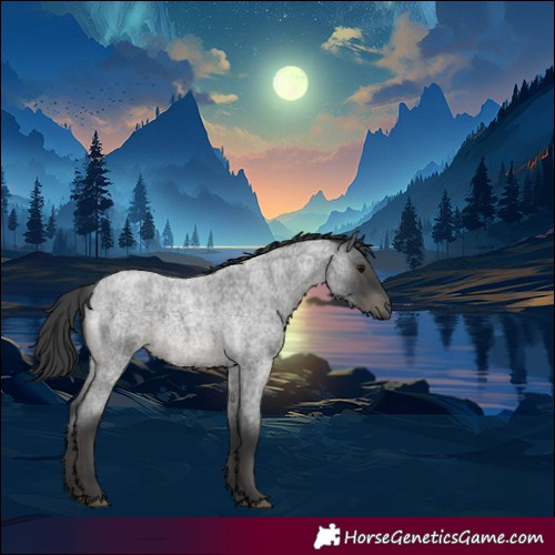 Horse Color:Blue Roan Rabicano 
