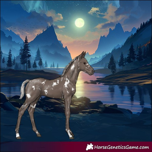 Horse Color:White Spotted Silver Black 