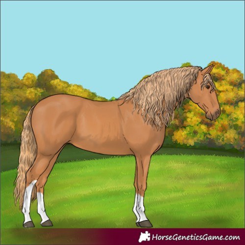 Horse Color:Chestnut Tobiano 