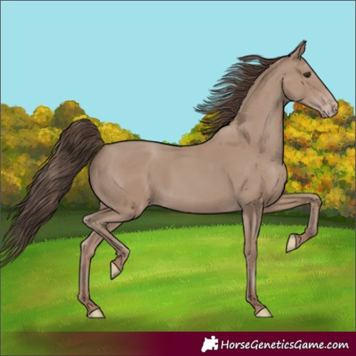 Horse Color:Classic Champagne 