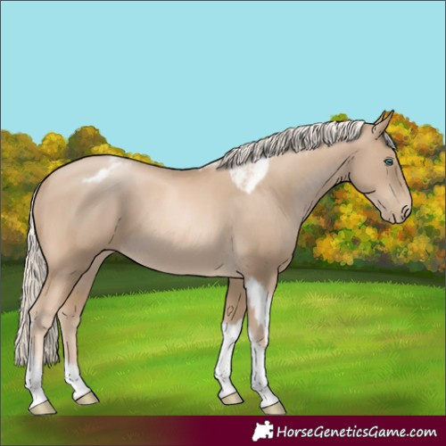 Horse Color:Chocolate Palomino Pearl Tobiano Frame  and Chocolate Palomino Pearl Tobiano Frame 