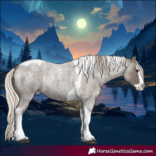 Horse Color:Silver Blue Roan Mushroom Tobiano  and Silver Blue Roan Splash Tobiano 