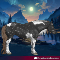 Horse Color:Liver Chestnut Tobiano Snowflake Varnish