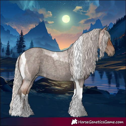 Horse Color:Silver Blue Roan Splash Tobiano  and Silver Blue Roan Tobiano 