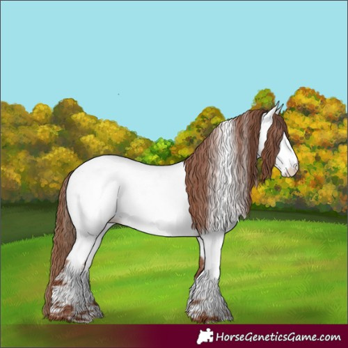Horse Color:Red Roan Near Fewspot 