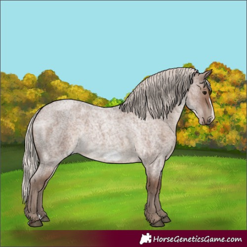 Horse Color:Silver Blue Roan Frame 