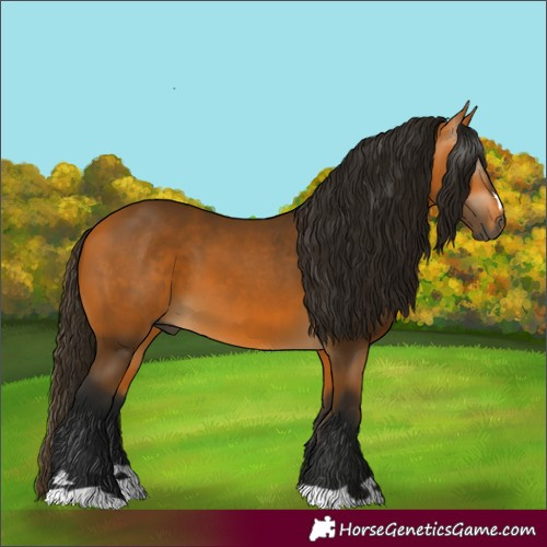 Horse Color:Unknown 