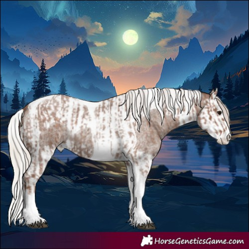 Horse Color:Silver Blue Roan Splash Tobiano  and Silver Blue Roan Splash Tobiano 