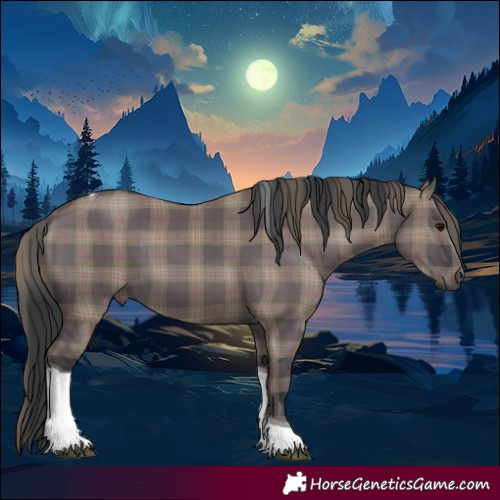 Horse Color:Plaid  Grullo Tobiano 