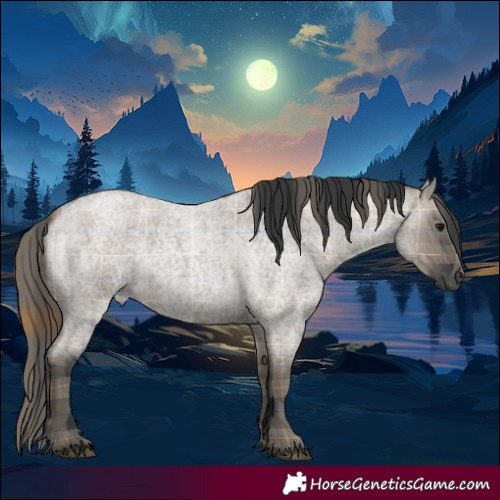 Horse Color:Plaid  Grullo Roan 