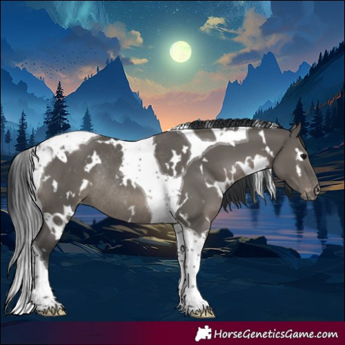 Horse Color:White Spotted Grullo Tobiano Varnish Rabicano 