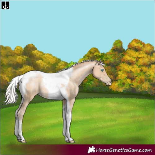 Horse Color:Silver Smoky Black Pearl Tobiano 