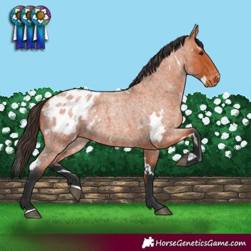 Horse Color:White Spotted Bay Roan Blanket 