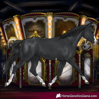 Horse Color:Black Splash Tobiano 