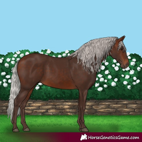 Horse Color:Silver Brown 