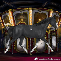 Horse Color:Black Splash Tobiano