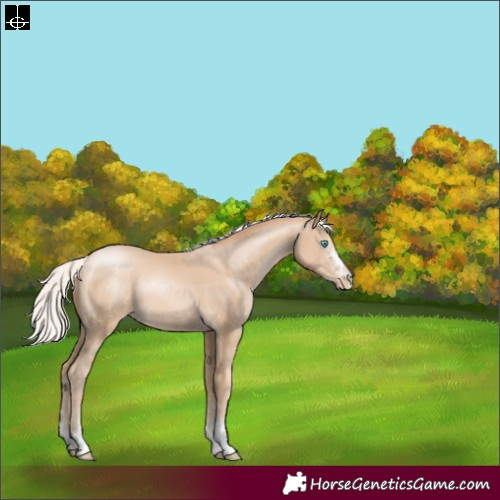 Horse Color:Silver Smoky Black Pearl Sabino