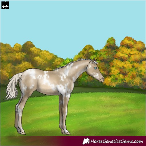 Horse Color:White Spotted Silver Smoky Black Pearl 