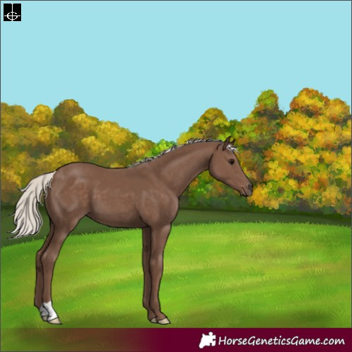 Horse Color:Silver Black 