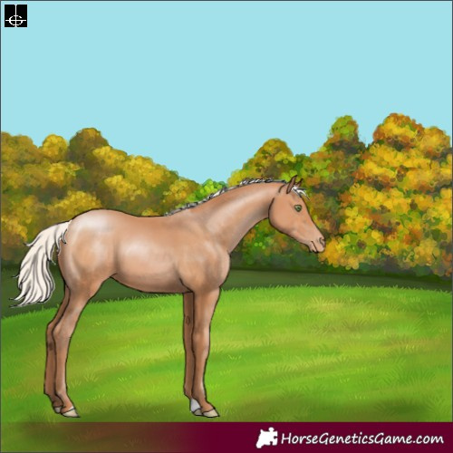 Horse Color:Silver Bay Pearl