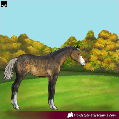Horse Color:Silver Buckskin Sabino 