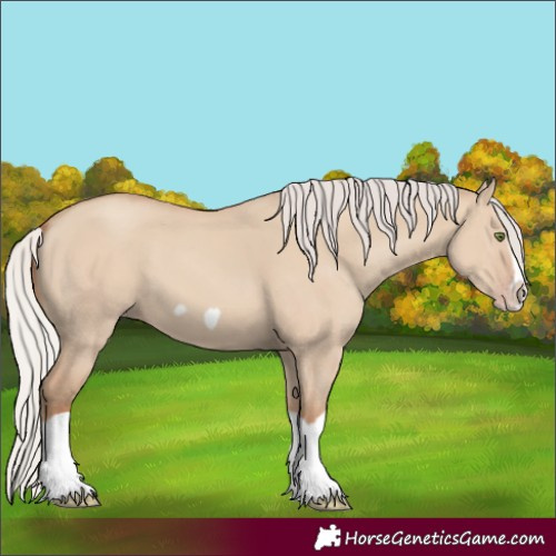 Horse Color:Silver Classic Champagne Dun Splash Frame 