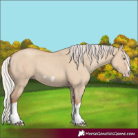 Horse Color:Silver Classic Champagne Dun Splash Frame