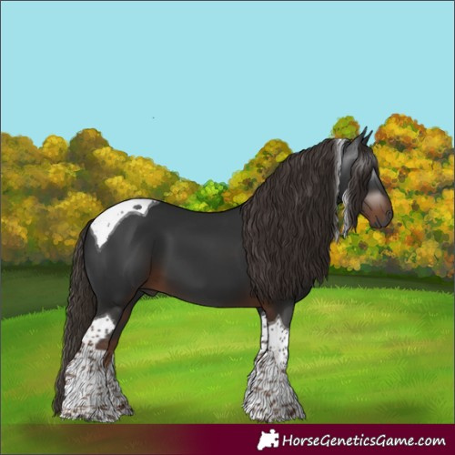 Horse Color:Gray Liver Chestnut Tobiano 