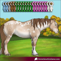 Horse Color:White Spotted Liver Red Dun Pearl Rabicano