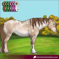 Horse Color:White Spotted Liver Red Dun Pearl Rabicano