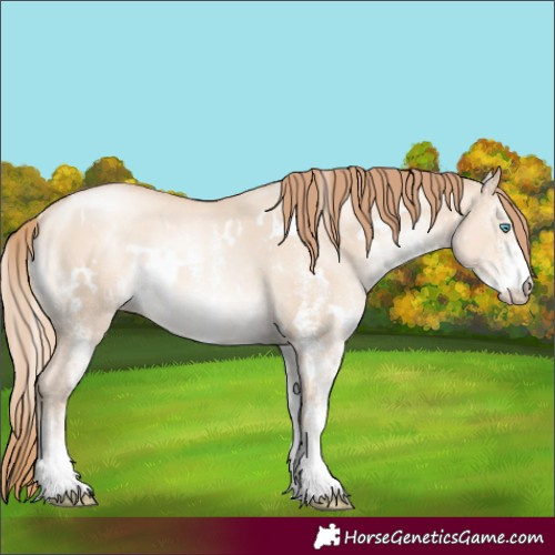Horse Color:White Spotted Gold Champagne Pearl Dun Rabicano 