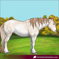 Horse Color:White Spotted Gold Champagne Pearl Dun Rabicano