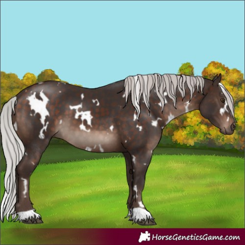 Horse Color:White Spotted Silver Brown Mushroom 