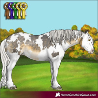 Horse Color:White Spotted Silver Buckskin Mushroom Splash Appaloosa 