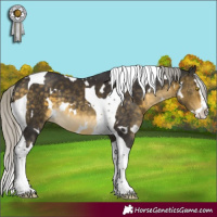 Horse Color:White Spotted Silver Buckskin Mushroom Splash Tobiano 