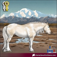 Horse Color:White Spotted Silver Buckskin Pearl Dun Tobiano Rabicano 