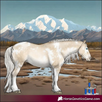 Horse Color:White Spotted Silver Buckskin Pearl Dun Tobiano Rabicano 