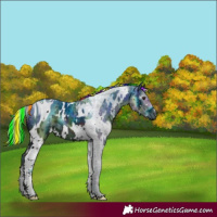 Horse Color:ERROR: UNKNOWN ANOMALY