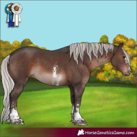 Horse Color:Silver Brown Mushroom Sabino
