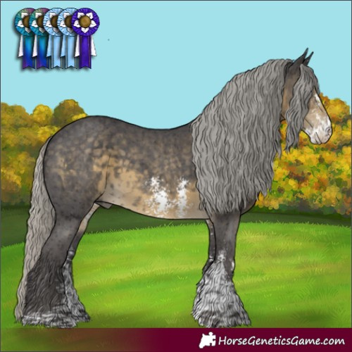 Horse Color:Silver Smoky Black Mushroom Sabino 