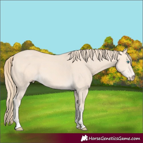 Horse Color:Perlino 