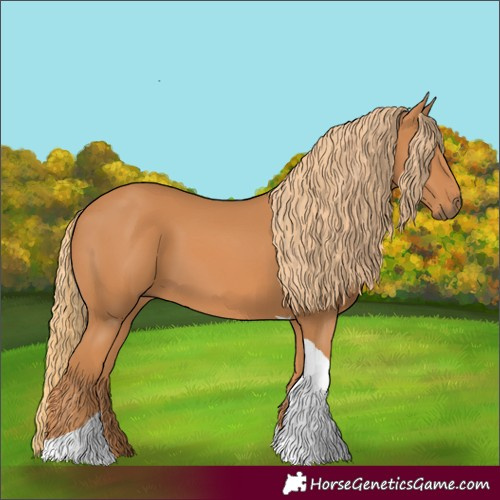 Horse Color:Chestnut Tobiano Rabicano 
