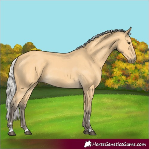 Horse Color:Silver Buckskin