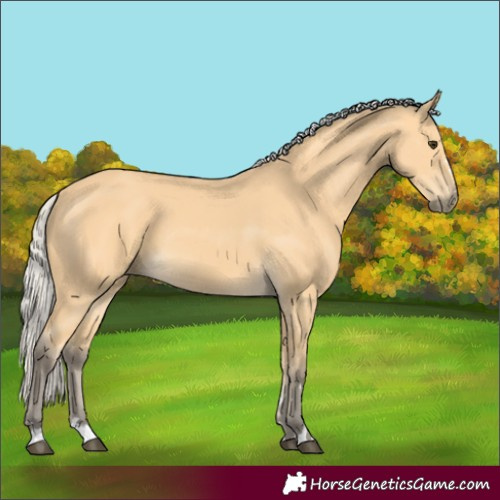 Horse Color:Silver Buckskin 
