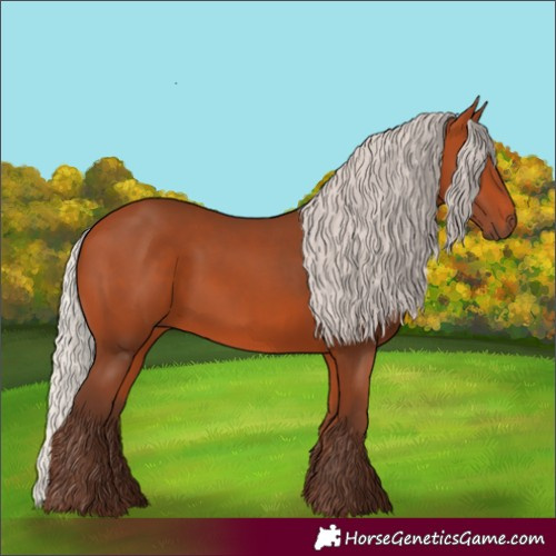 Horse Color:Silver Bay 