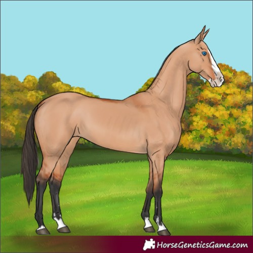 Horse Color:Unknown 